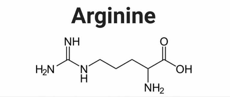 Acide aminé L-arginine